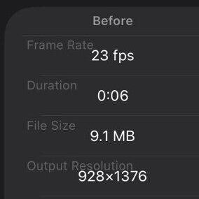 The Before column of FrameFlo’s Video Info screen: Frame Rate 23 fps, Duration 0:06, File Size 9.1 MB, Output Resolution 928×1376